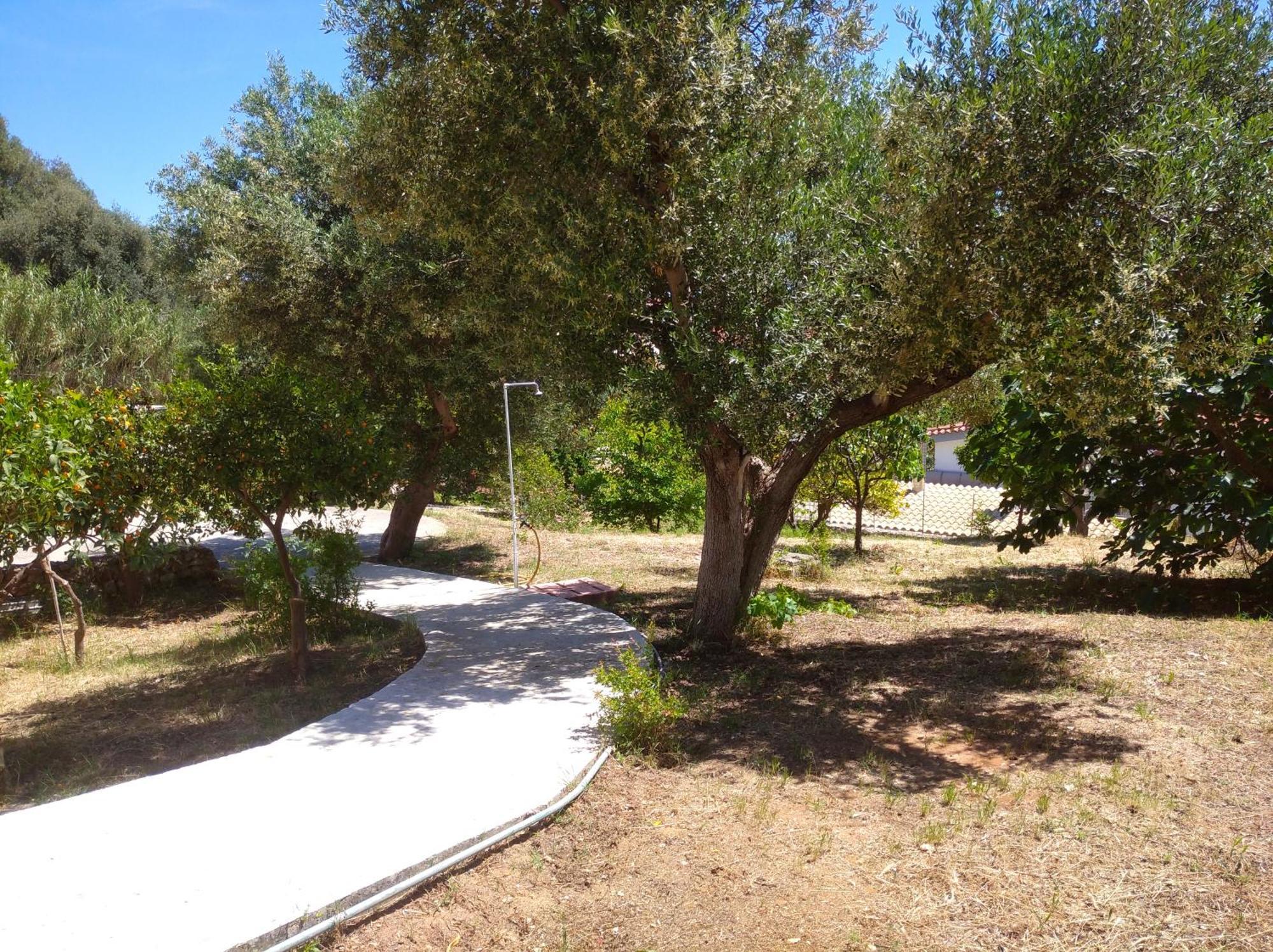 Kapandriti Rooms Skala  Exterior photo